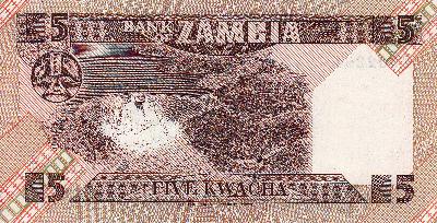 Beschrijving achterzijde: DAM